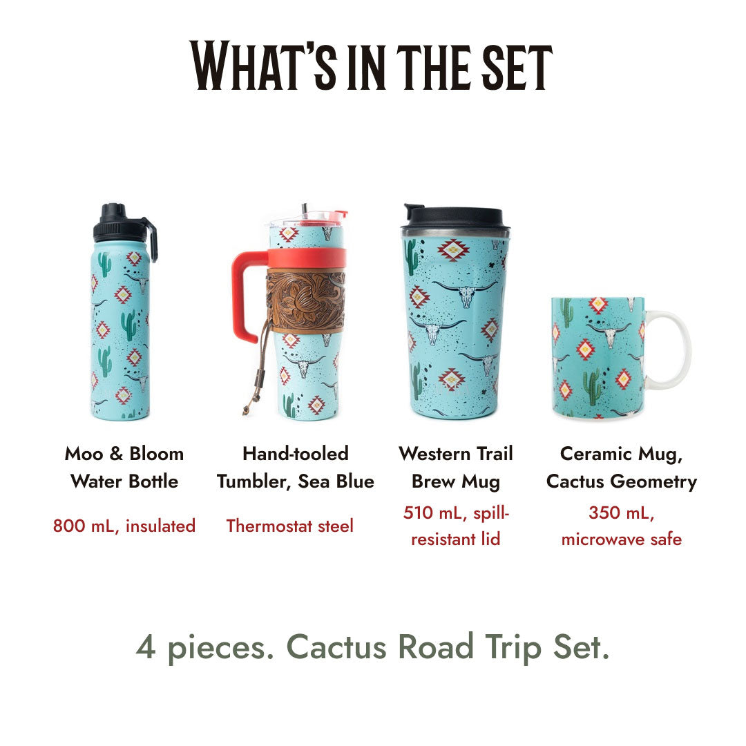 Cactus Geometry Road Trip Trio - What is in the set