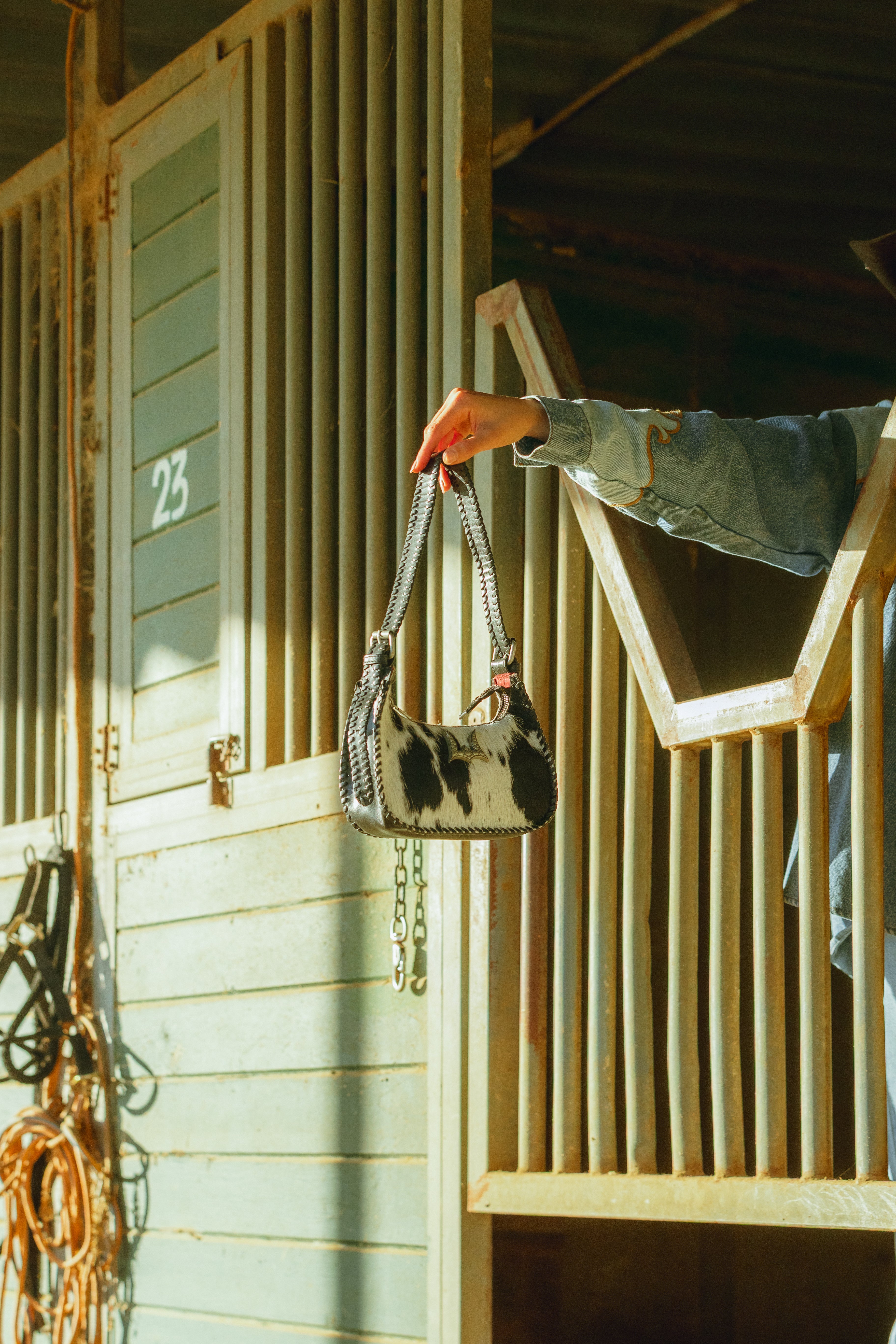 Dannia Medium Purse In Black & White Cowhide
