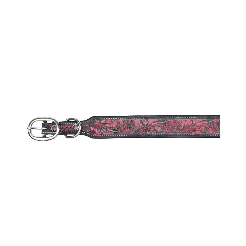 Lucky Diego Hand-tooled Dog Collar - Myra USA