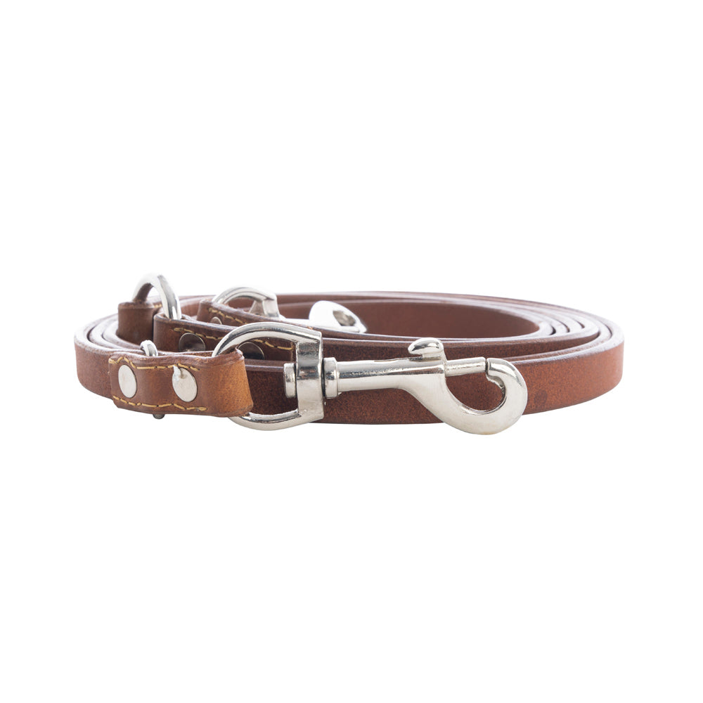 Viaje Dog Leash in Caramel - Myra USA
