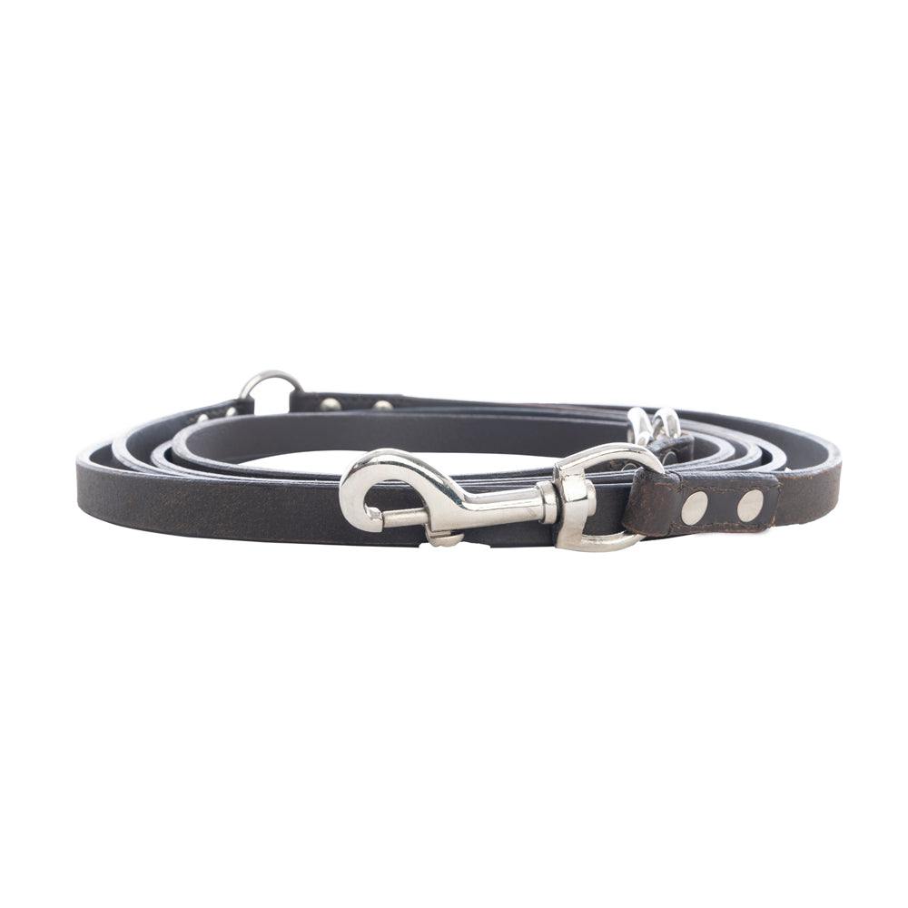 Viaje Dog Leash in Ebony - Myra USA