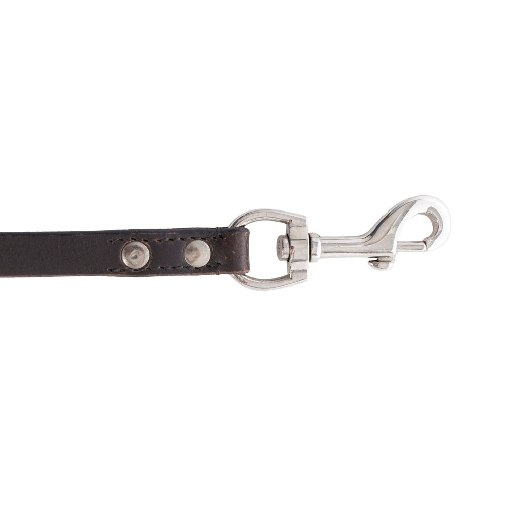 Viaje Dog Leash in Ebony - Myra USA