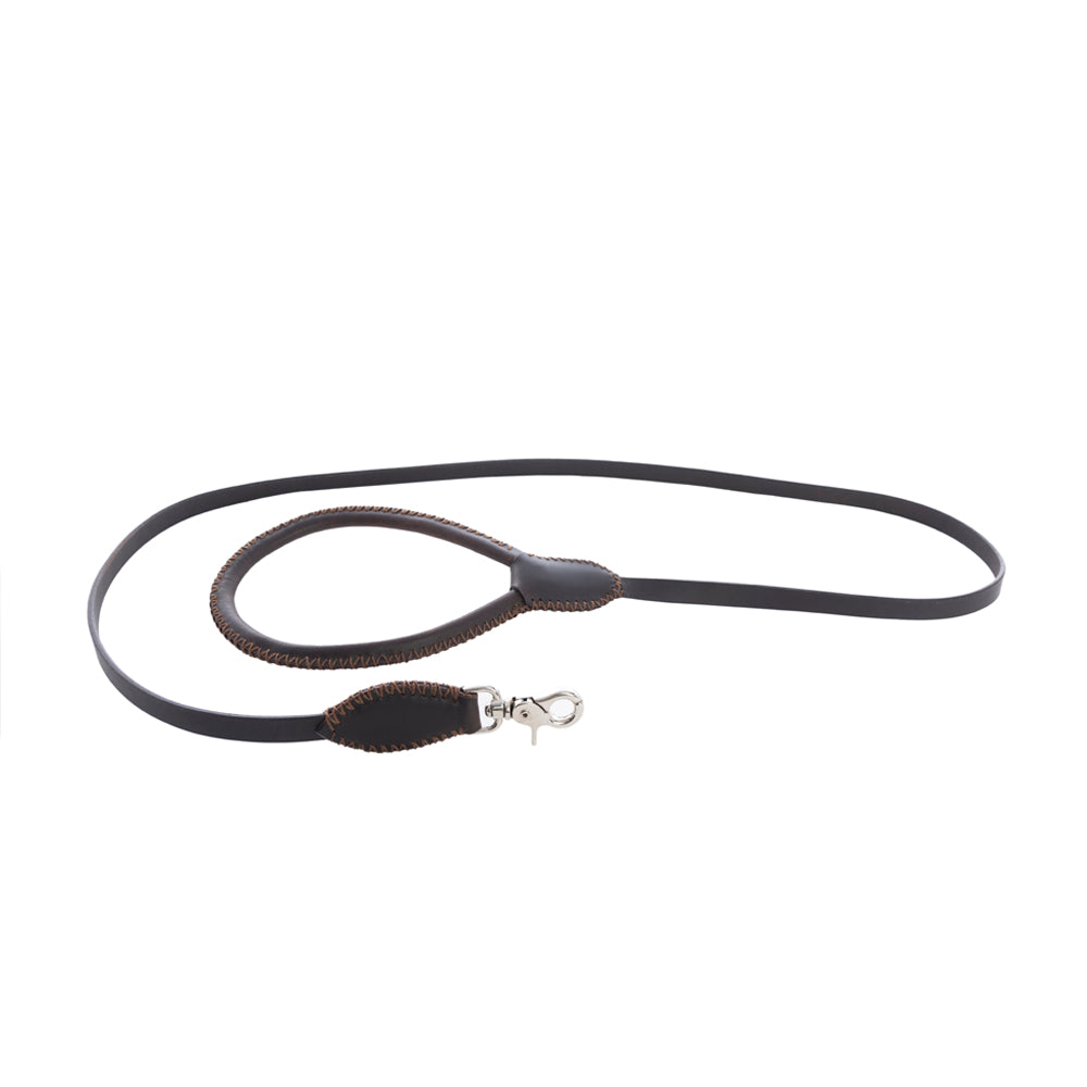 Exploradora Dog Leash in Ebony - Myra USA