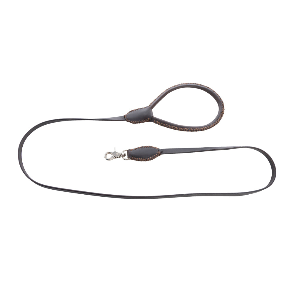 Exploradora Dog Leash in Ebony - Myra USA