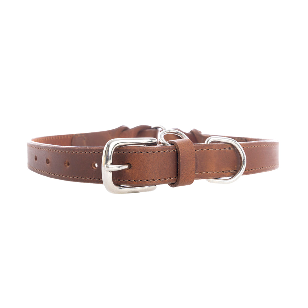 Topside Dog Collar in Chocolate - Myra USA