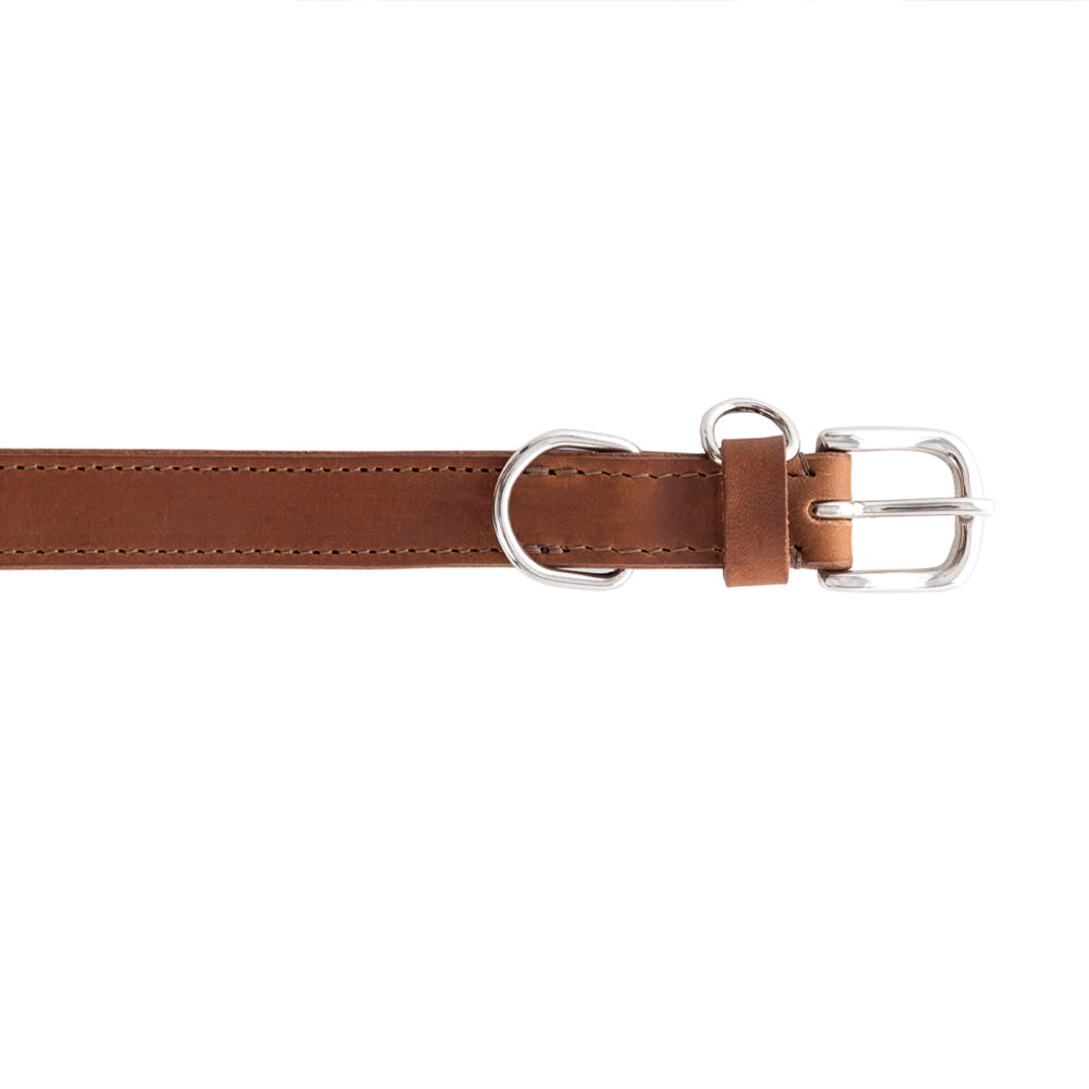 Topside Dog Collar in Chocolate - Myra USA