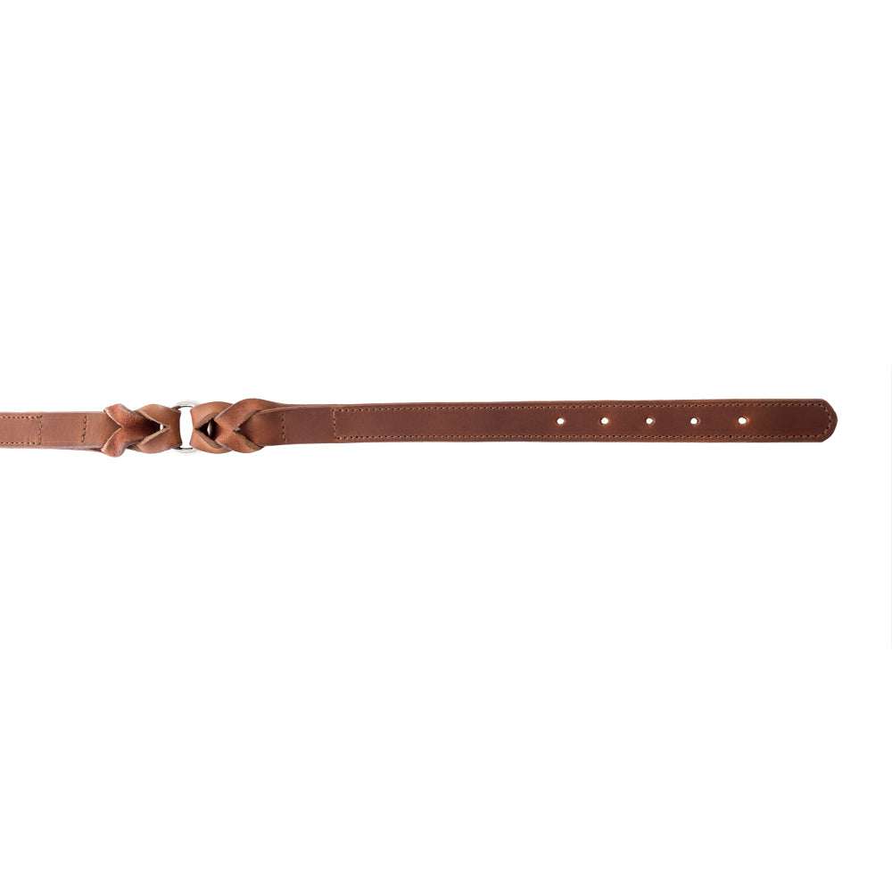 Topside Dog Collar in Chocolate - Myra USA