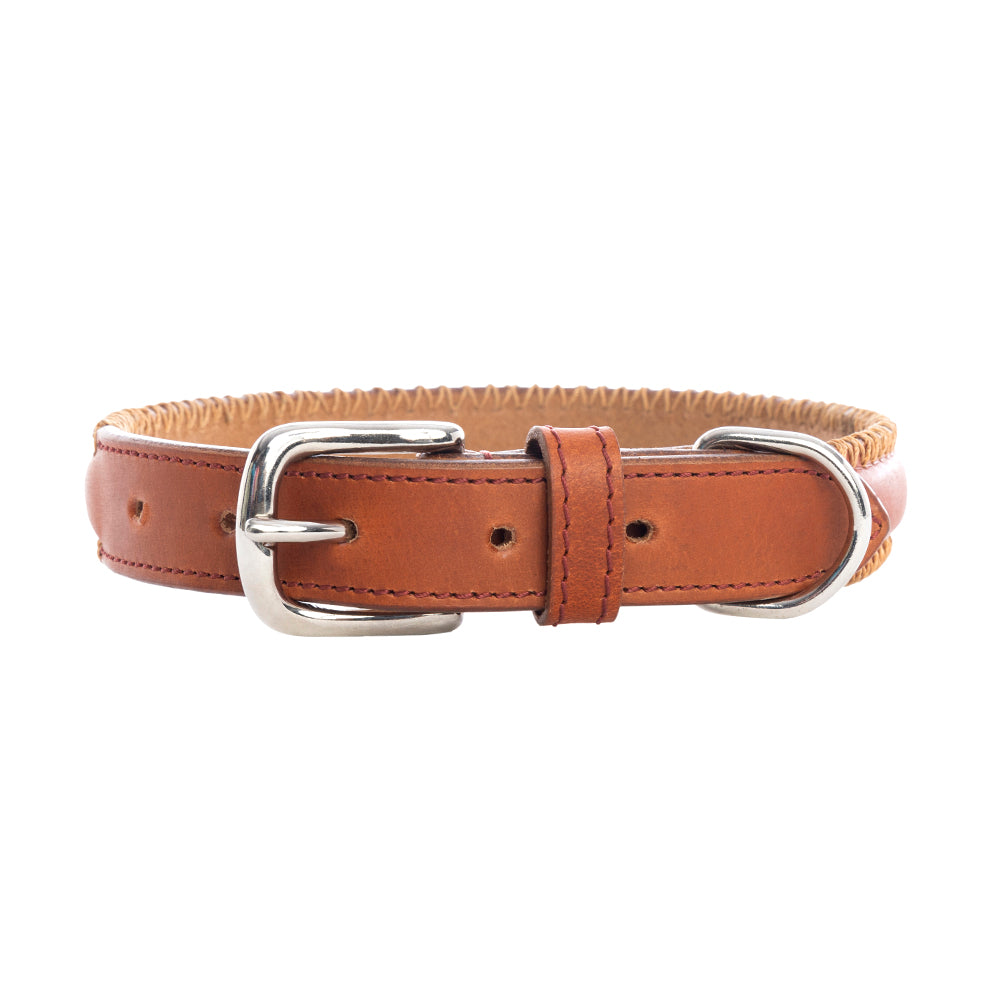 Rio Correr Dog Collar in Caramel - Myra USA