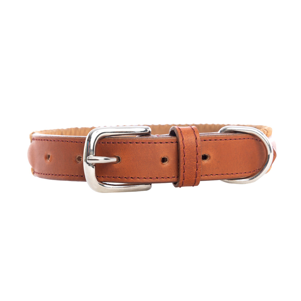 Rio Correr Dog Collar in Caramel - Myra USA
