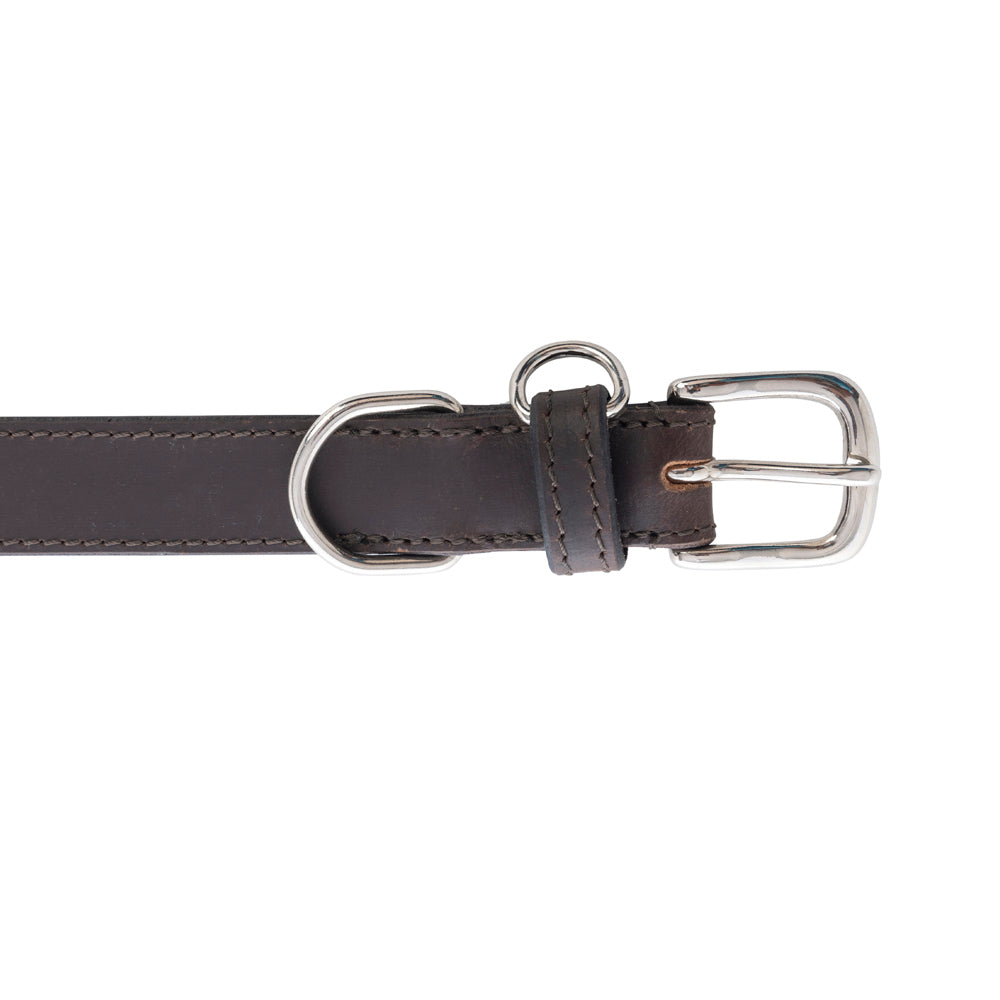 Topside Dog Collar in Ebony - Myra USA