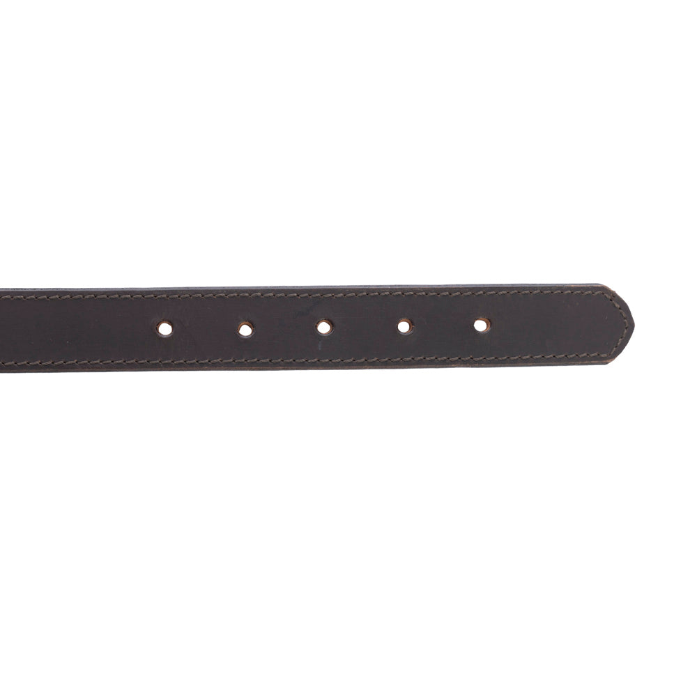 Topside Dog Collar in Ebony - Myra USA