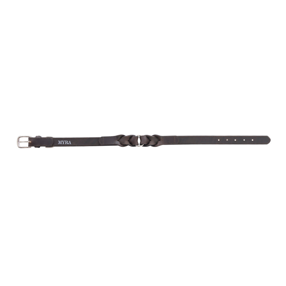 Topside Dog Collar in Ebony - Myra USA
