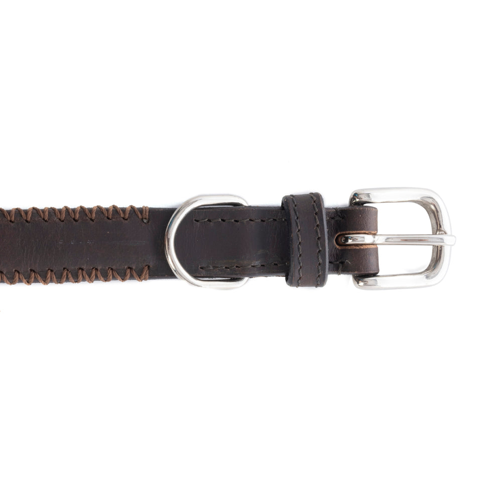 Rio Correr Dog Collar in Chocolate - Myra USA