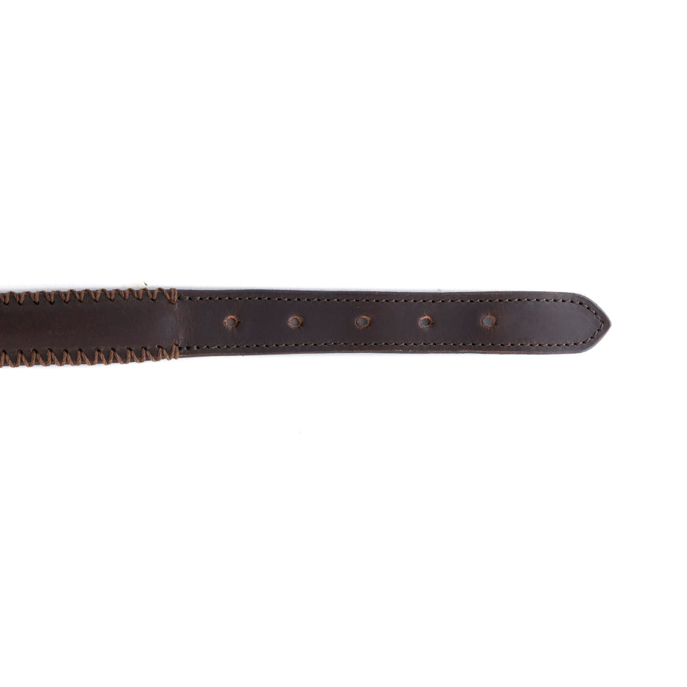 Rio Correr Dog Collar in Chocolate - Myra USA