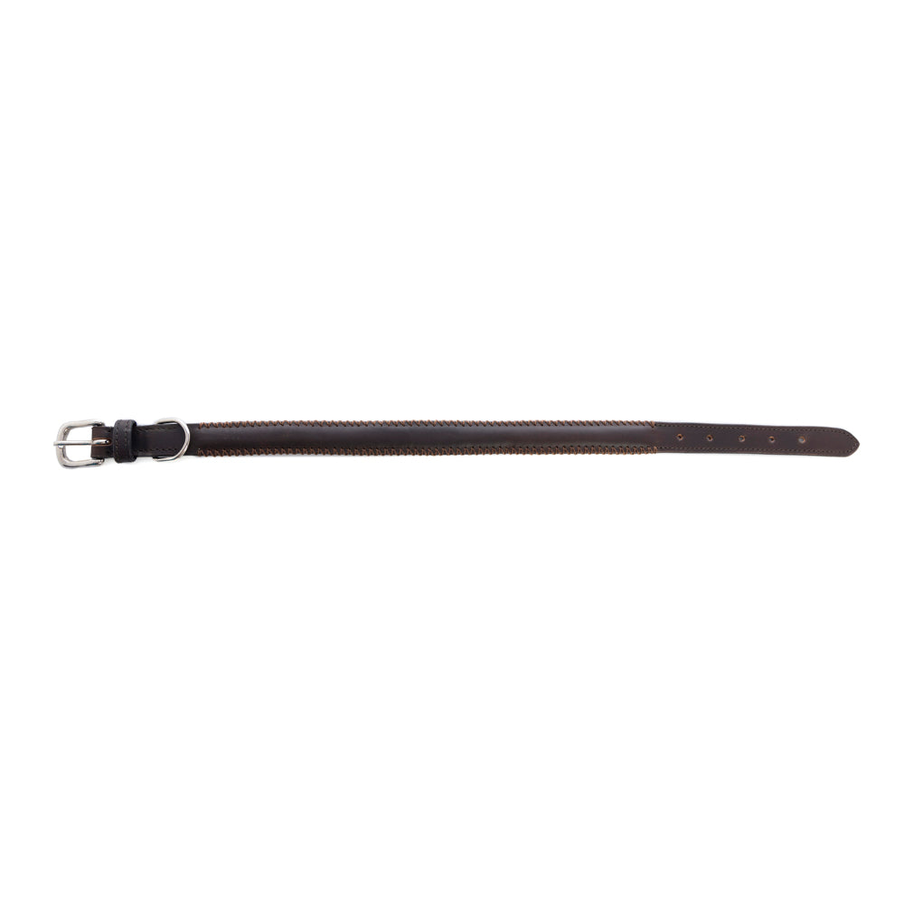 Rio Correr Dog Collar in Chocolate - Myra USA