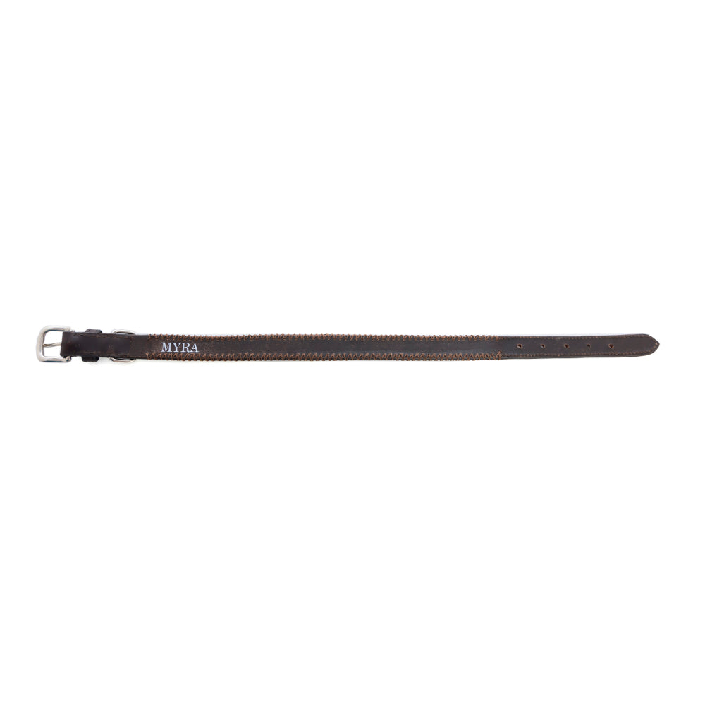 Rio Correr Dog Collar in Chocolate - Myra USA
