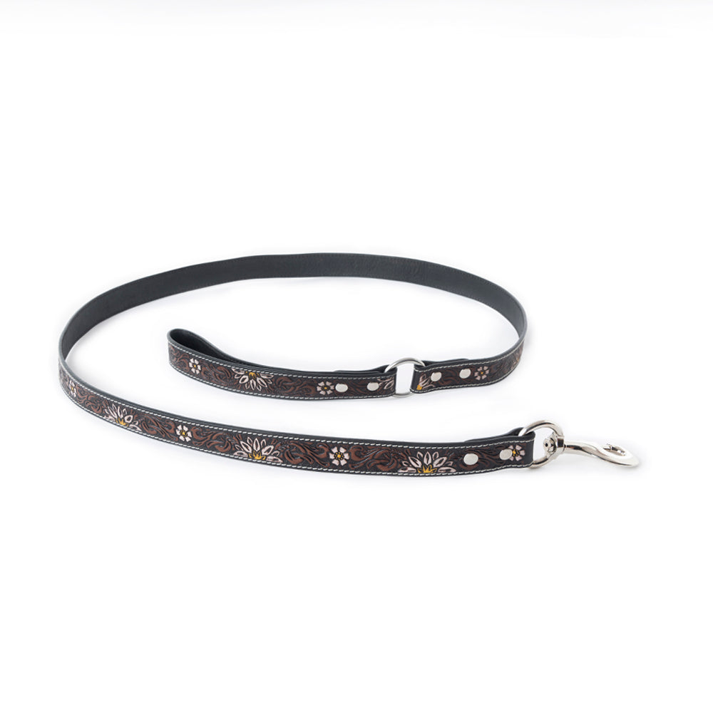 Clairmonte Dog Leash In Black - Myra USA