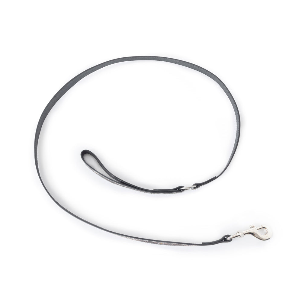 Clairmonte Dog Leash In Black - Myra USA
