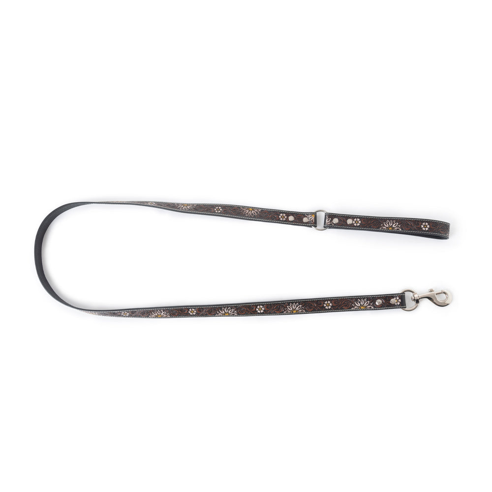 Clairmonte Dog Leash In Black - Myra USA