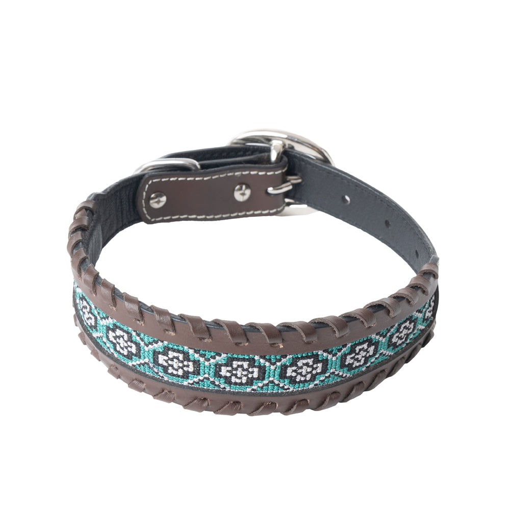Freedom Trail Dog Collar In Black & Turquoise - Myra USA