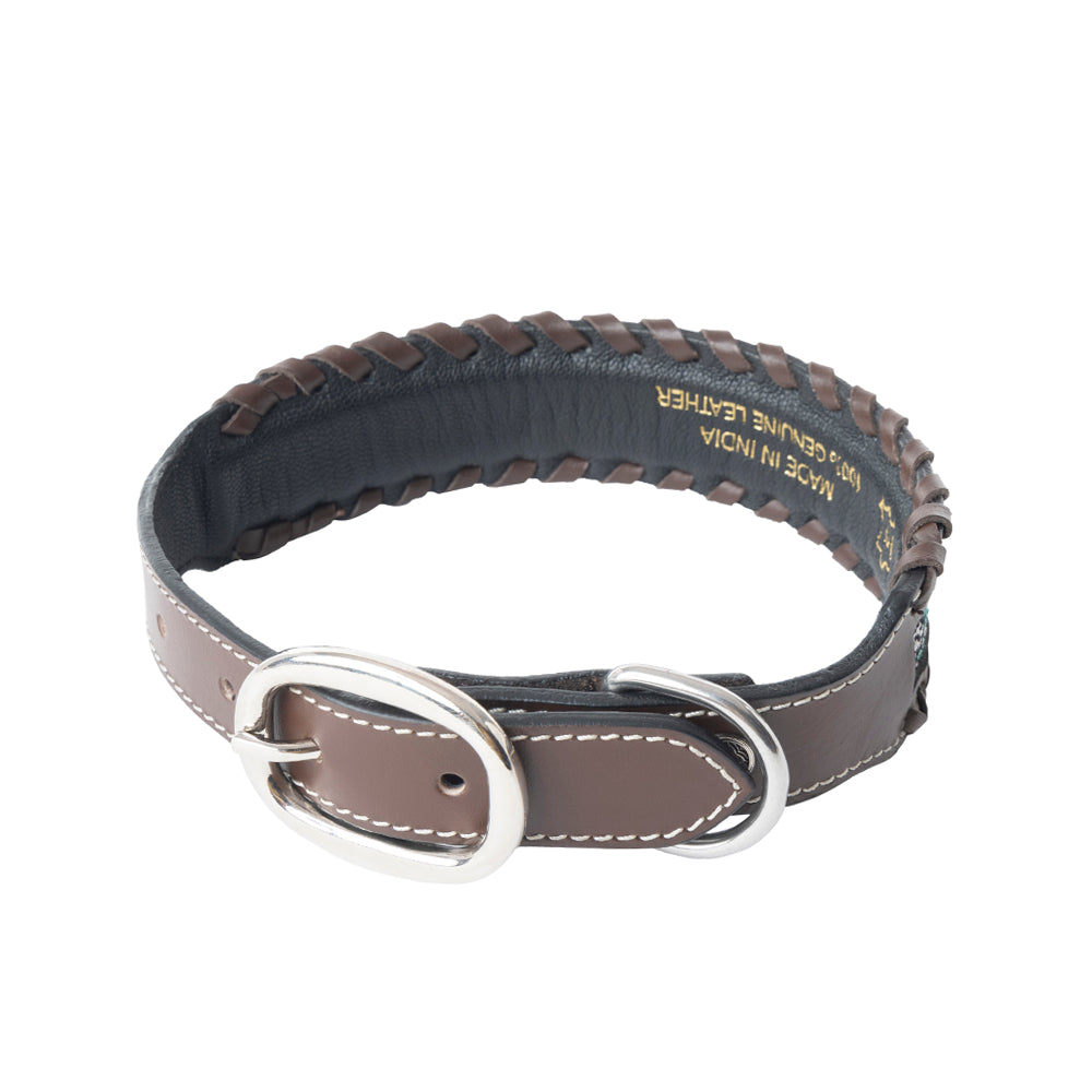 Freedom Trail Dog Collar In Black & Turquoise - Myra USA