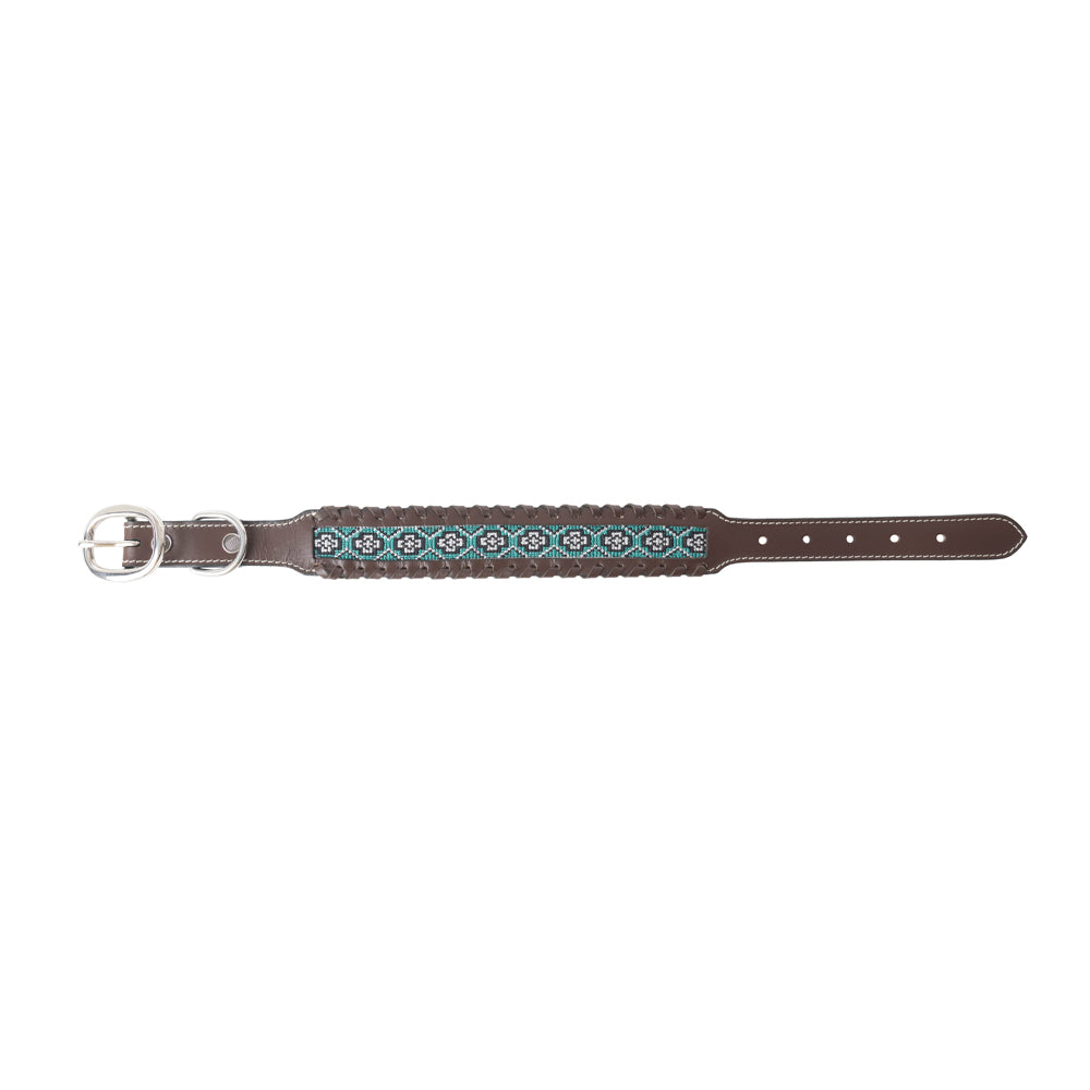 Freedom Trail Dog Collar In Black & Turquoise - Myra USA