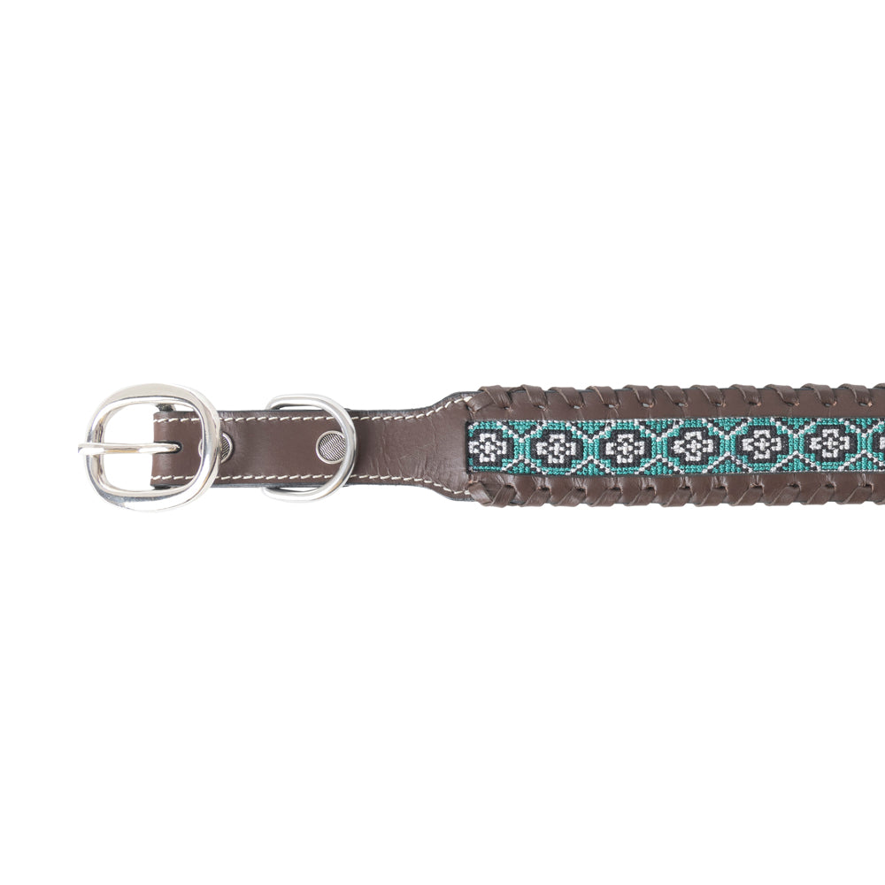 Freedom Trail Dog Collar In Black & Turquoise - Myra USA