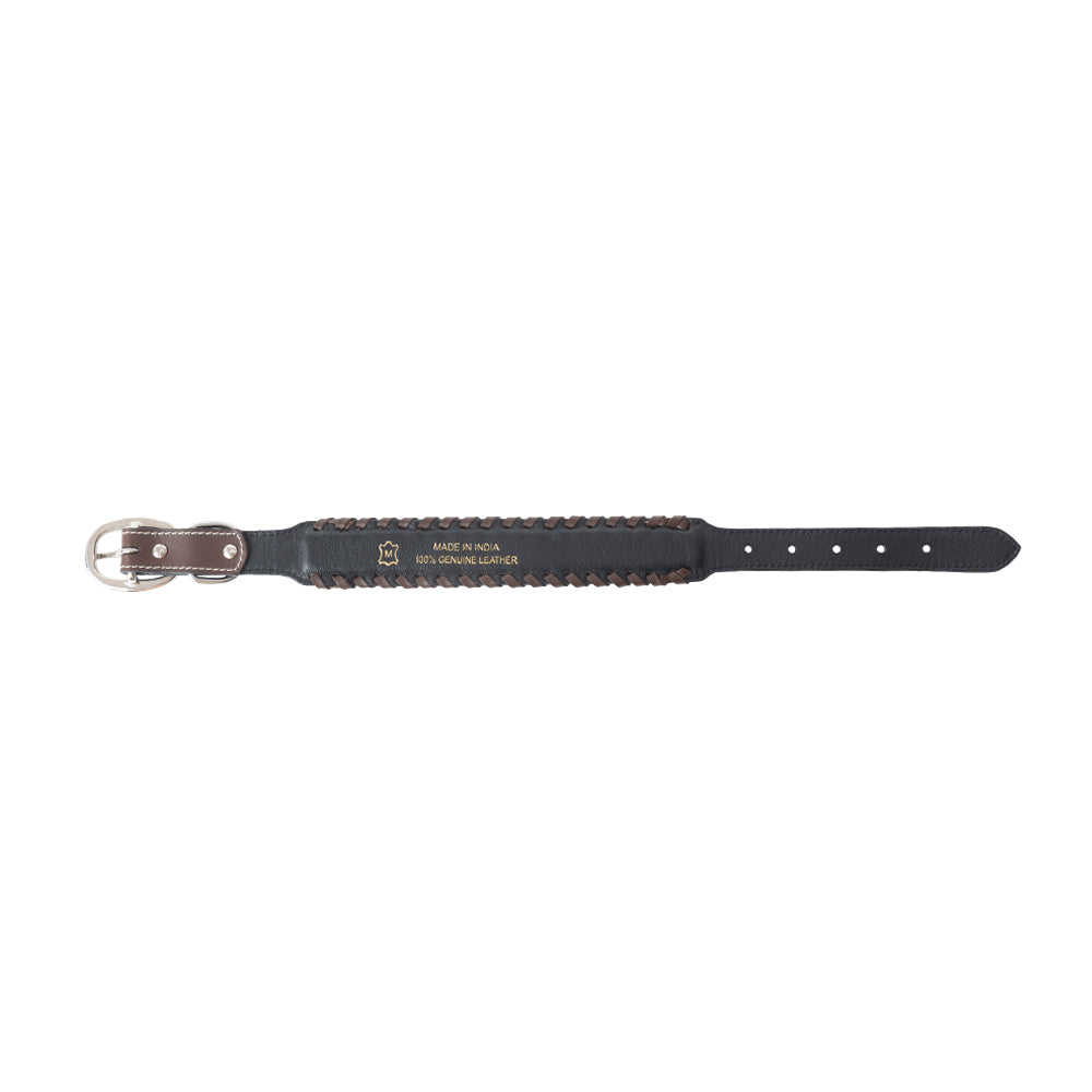 Freedom Trail Dog Collar In Black & Turquoise