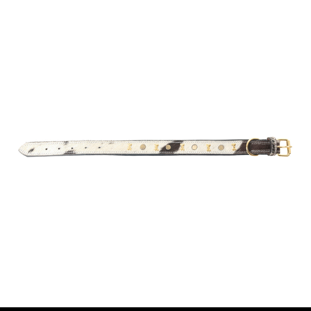 Prairie Paws Studded Hairon Dog Collar in Ash & Ivory - Myra USA