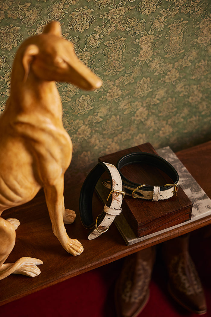 Prairie Paws Studded Hairon Dog Collar in Ash & Ivory