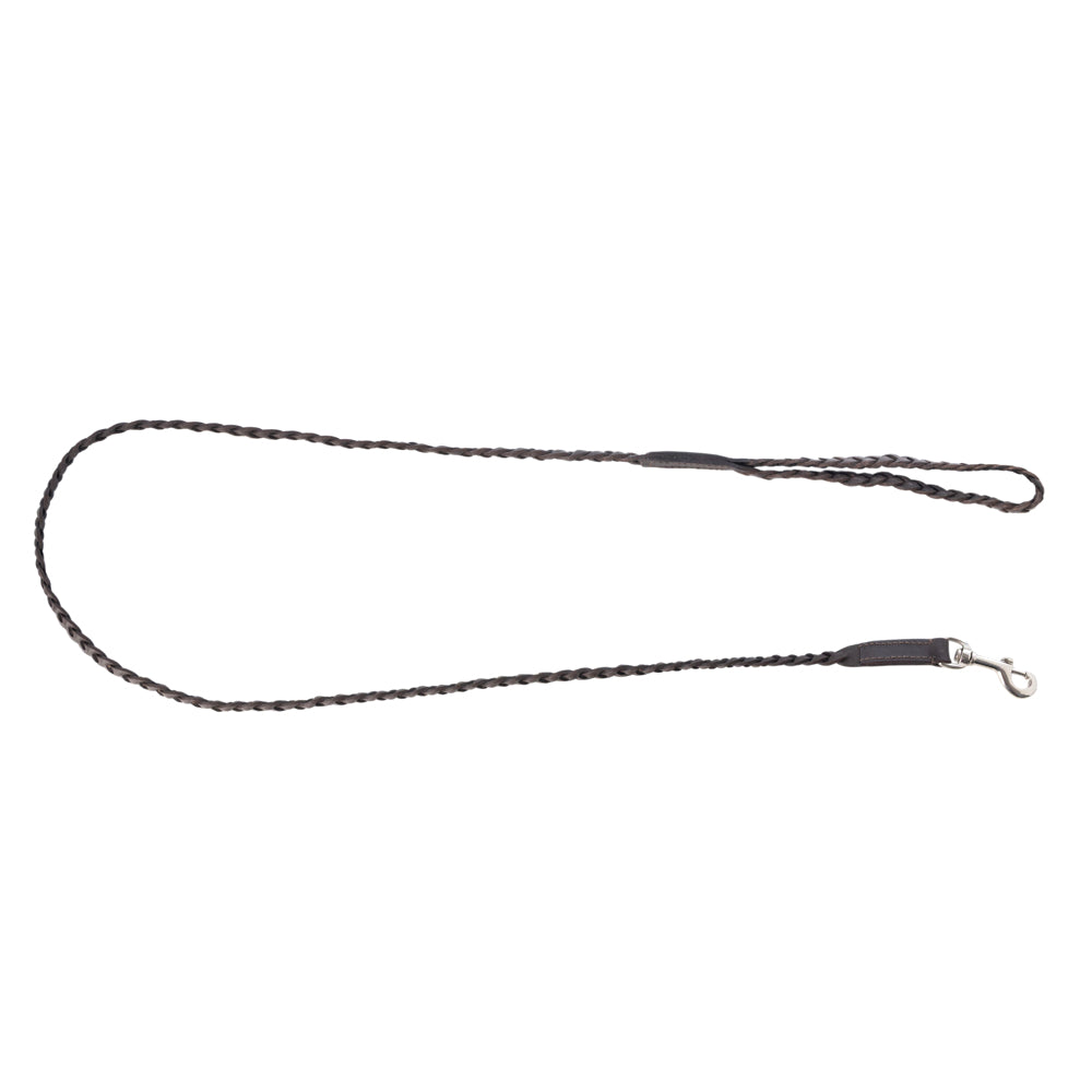 Trailbound Leather Dog Leash in Rustic Brown with Braided Design and Metal Hook - Myra USA