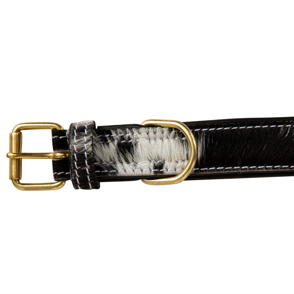 Monterey Hair-on Hide Dog Collar - Myra USA
