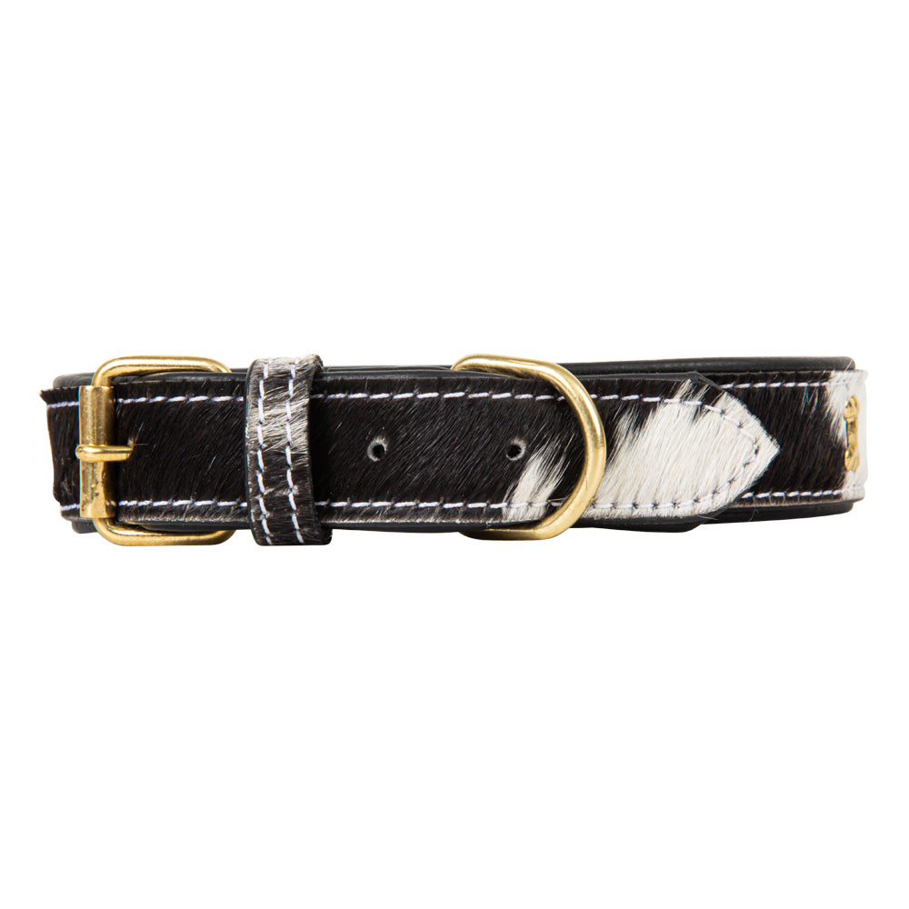 Monterey Hair-on Hide Dog Collar - Myra USA