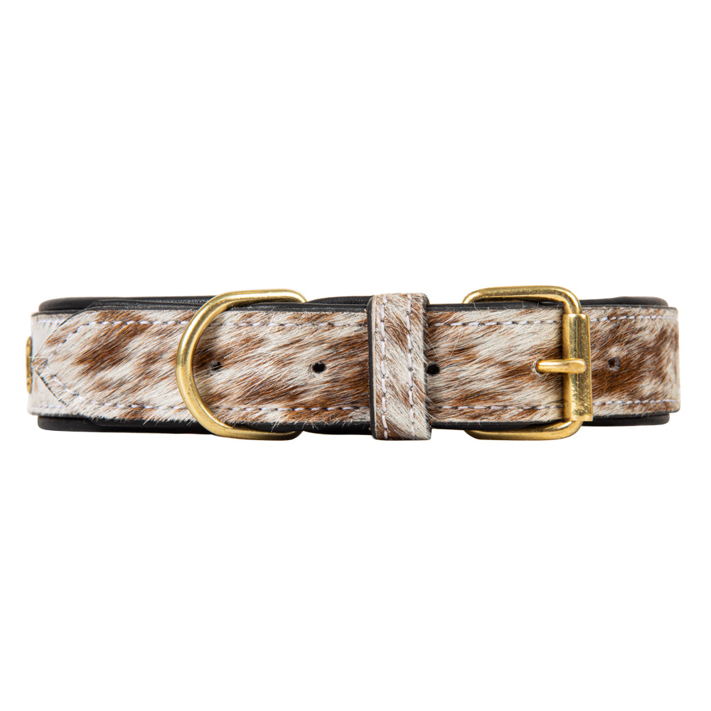 Chissum Hair-On Hide Dog Collar - Myra USA
