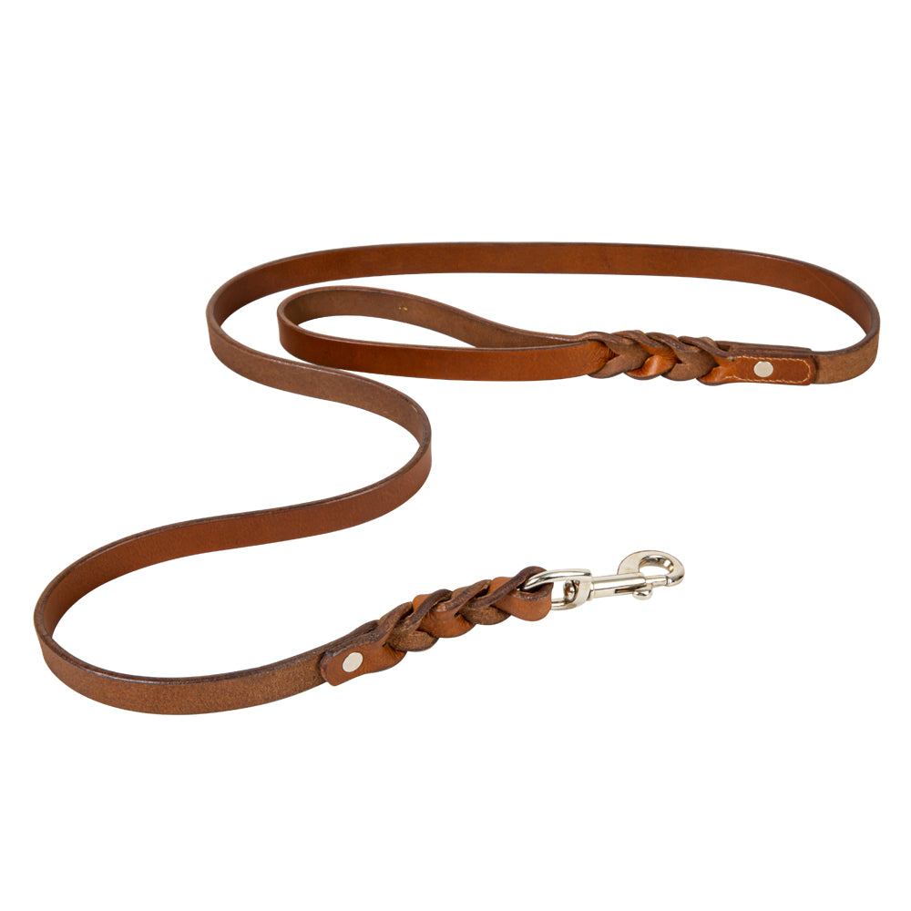 Explorer Leather Dog Leash - Myra USA