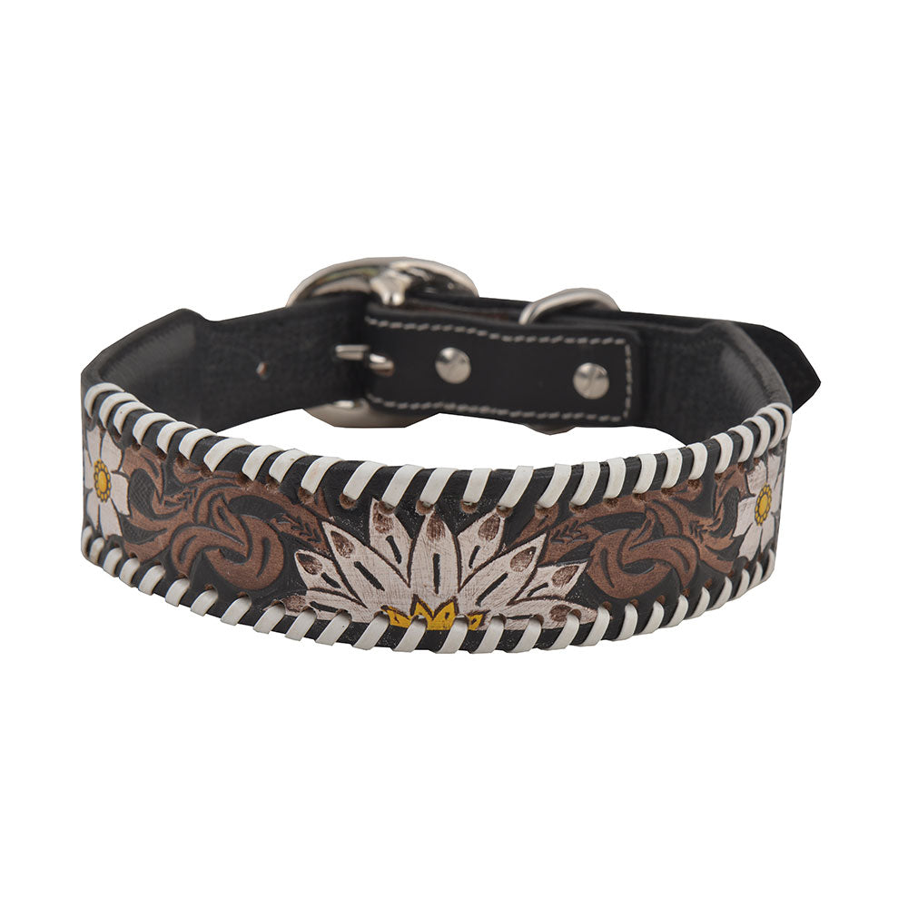Oxy Daisy Hand-Tooled Leather Dog Collar - MyraUSA