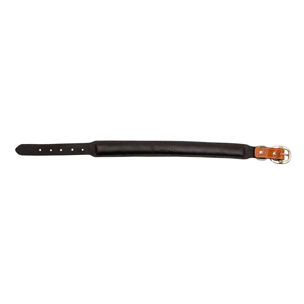 Zoomper Hand-Tooled Leather Dog Collar - MyraUSA