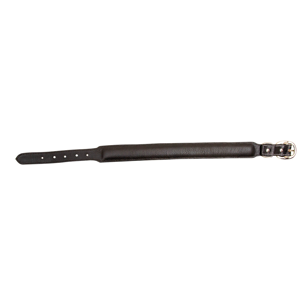 Hotshots Hand-Tooled Leather Dog Collar - MyraUSA