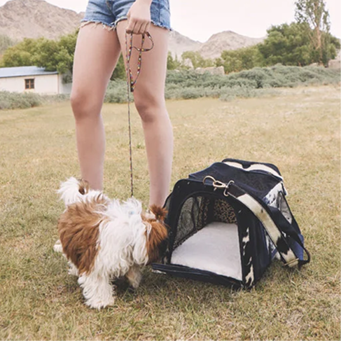 Dog Bags
