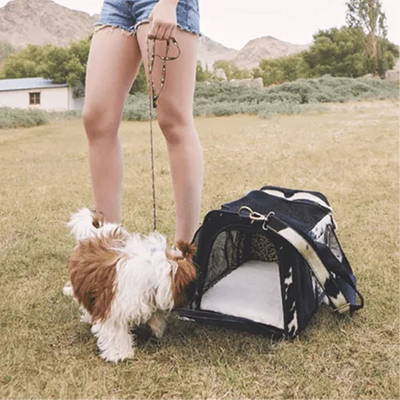 Dog Bags