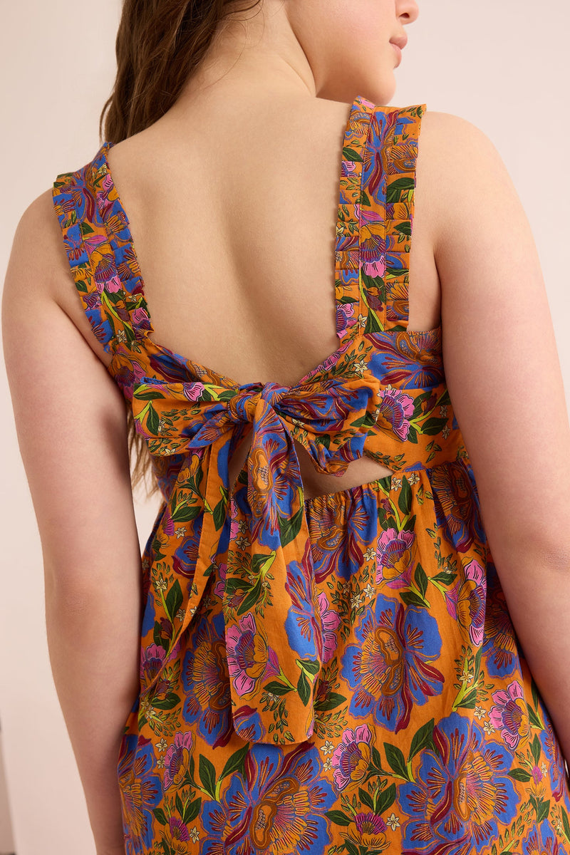 Bryony Splendor Dress In Multicolor