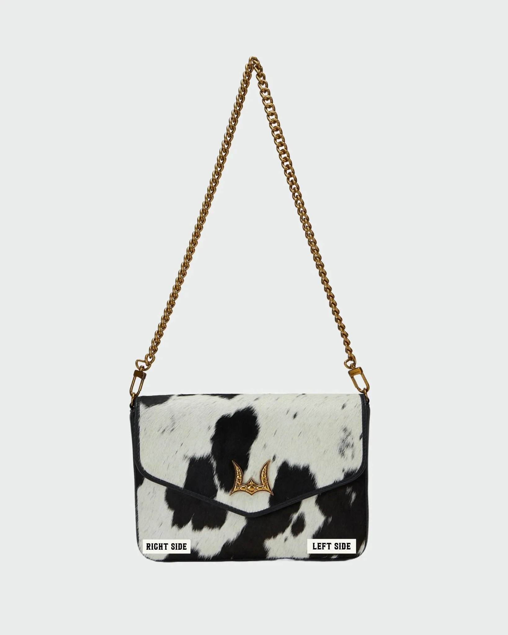 TYPE: CUSTOMIZER MAIN IMAGE