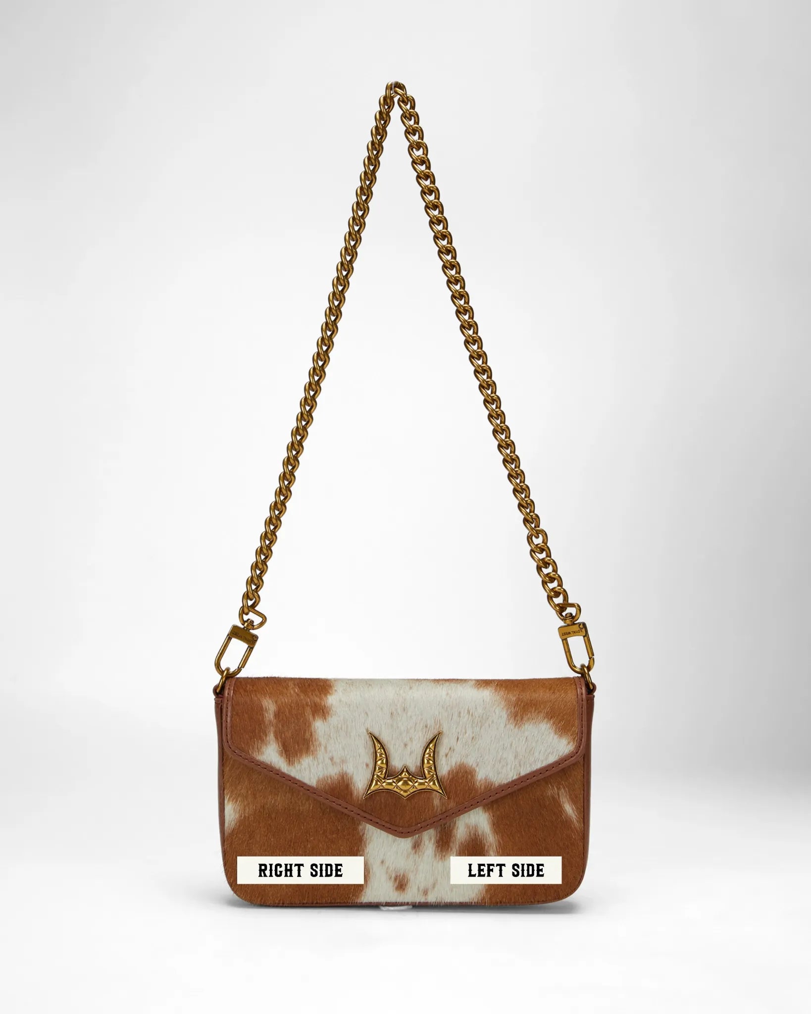 TYPE: CUSTOMIZER MAIN IMAGE