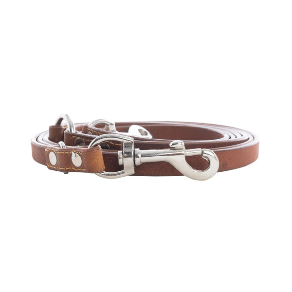 Viaje Dog Leash in Caramel