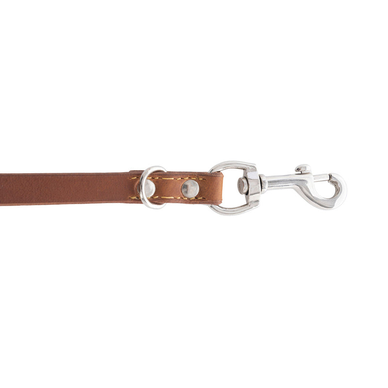 Viaje Dog Leash in Caramel