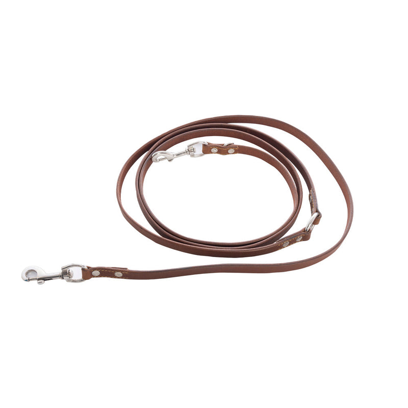 Viaje Dog Leash in Caramel