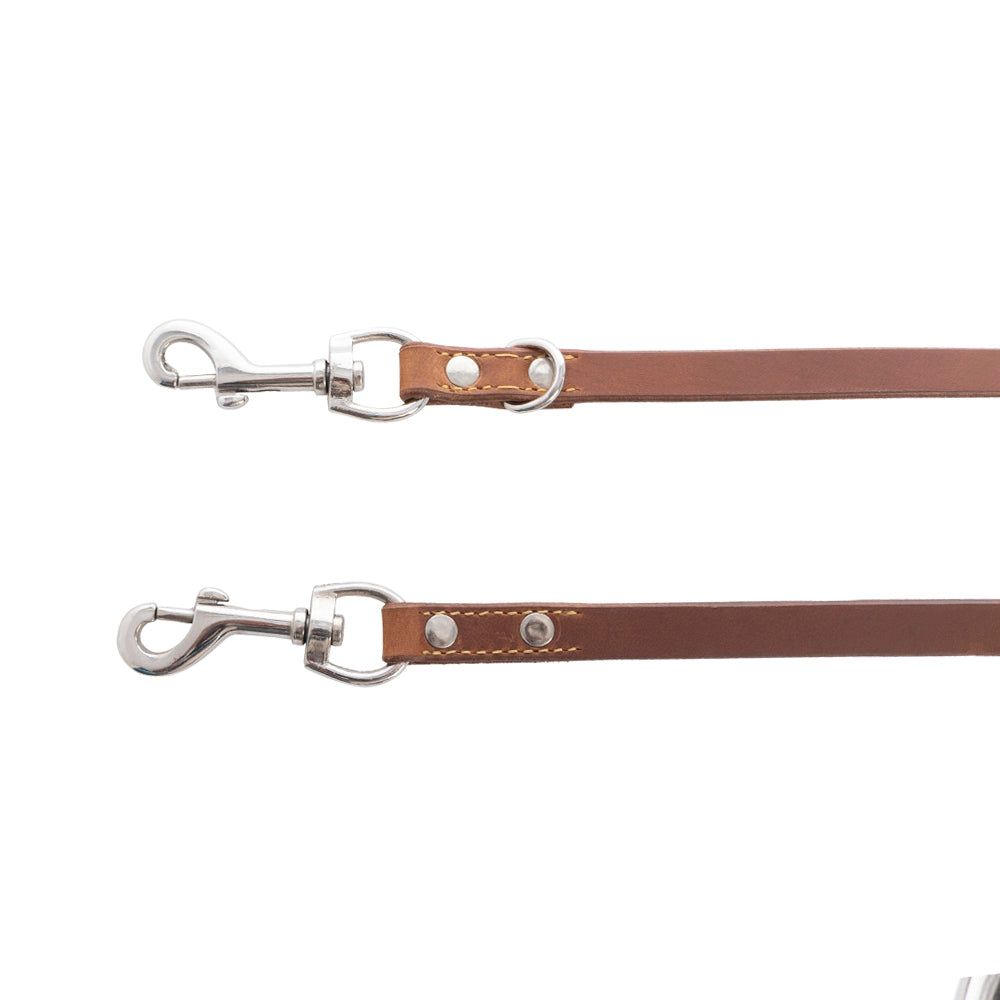 Viaje Dog Leash in Caramel
