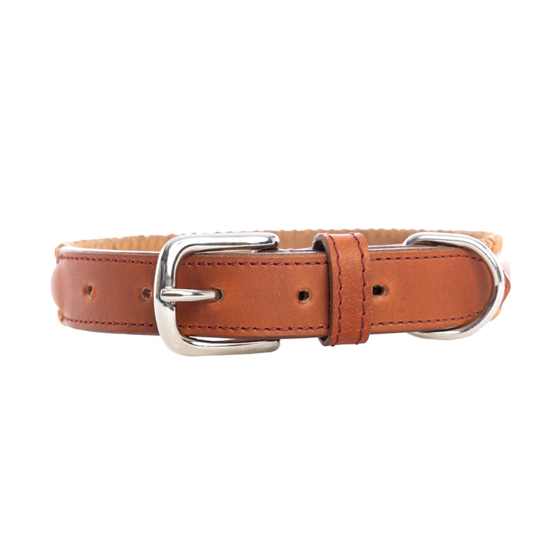 Rio Correr Dog Collar in Caramel