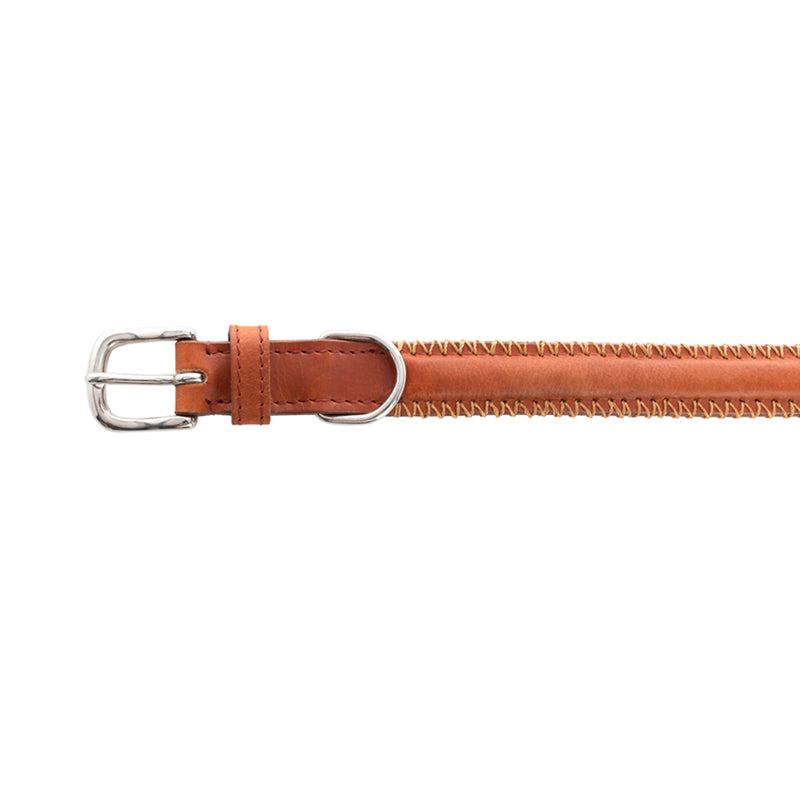 Rio Correr Dog Collar in Caramel