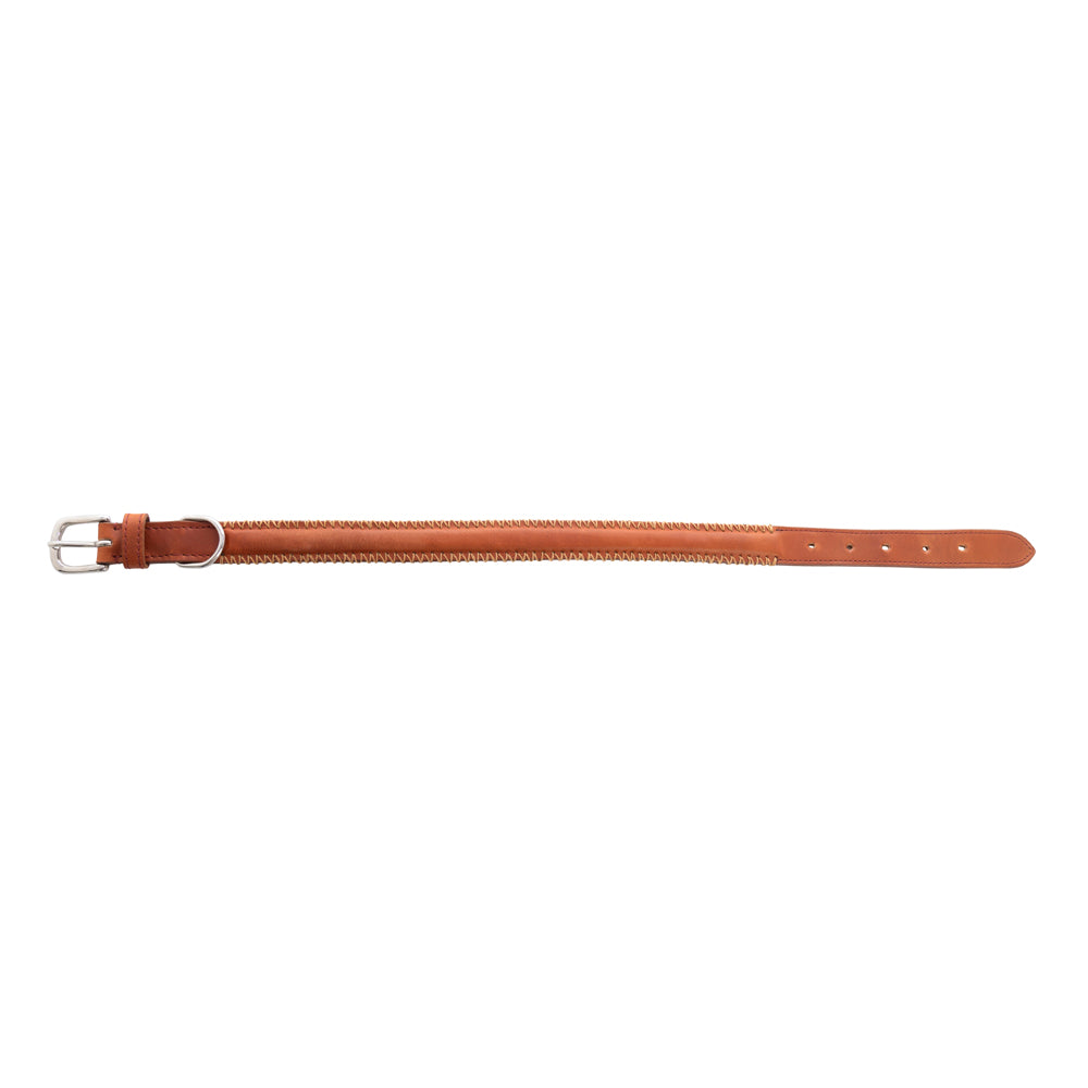 Rio Correr Dog Collar in Caramel
